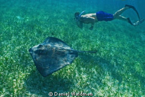 I took this shot with a Canon G11 with a Canon Housing, M... by Daniel Waldman 